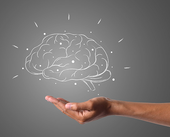 An image of a brain hovers of a hand