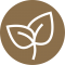 Spring icon