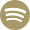 wireless icon
